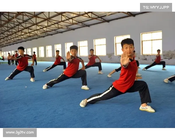 学武术的最佳年龄是几岁?了解不同年龄段的学习优势与挑战 学武术的最佳年龄是几岁?了解不同年龄段的学习优势与挑战